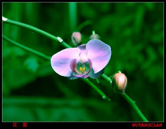 ���ͼ��鿴ԭʼ��С

����:  dsc03736.jpg
�鿴����: 280
��С:  91.0 KB