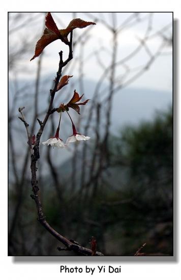 ͼ鿴ԭʼС

:  img_09881.jpg
鿴: 367
С:  107.1 KB