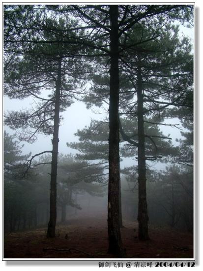 ���ͼ��鿴ԭʼ��С

����:  dscf0370_�������.jpg
�鿴����: 269
��С:  152.7 KB