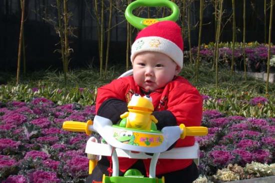 ���ͼ��鿴ԭʼ��С

����:  dscn1066.jpg
�鿴����: 326
��С:  91.4 KB