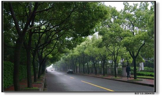 ���ͼ��鿴ԭʼ��С

����:  dscf1111_road.jpg
�鿴����: 267
��С:  141.1 KB
