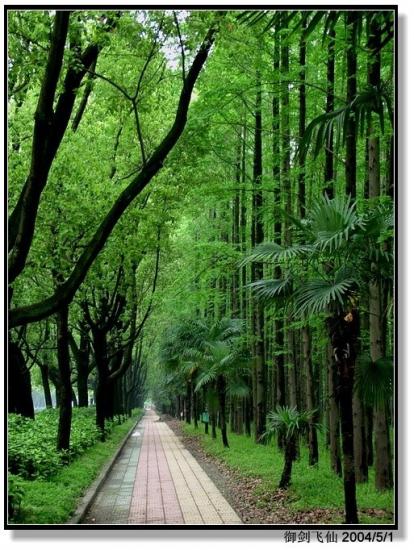 ���ͼ��鿴ԭʼ��С

����:  dscf1156_road.jpg
�鿴����: 258
��С:  182.7 KB