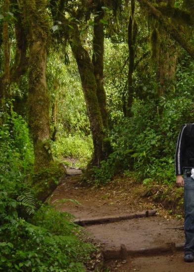 ���ͼ��鿴ԭʼ��С

����:  rainforest.jpg
�鿴����: 386
��С:  124.4 KB