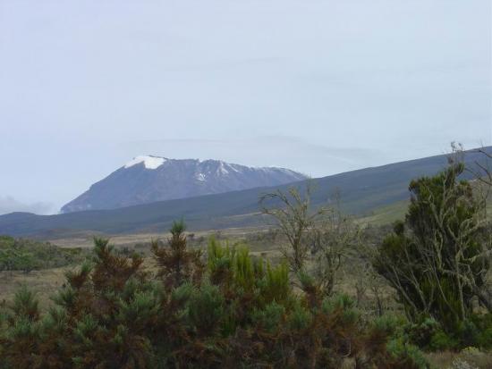 ���ͼ��鿴ԭʼ��С

����:  moorland.jpg
�鿴����: 373
��С:  59.4 KB
