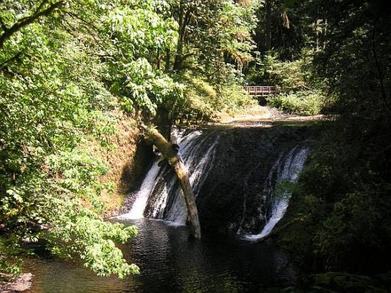 ���ͼ��鿴ԭʼ��С

����:  silver falls 1.jpg
�鿴����: 378
��С:  145.7 KB
