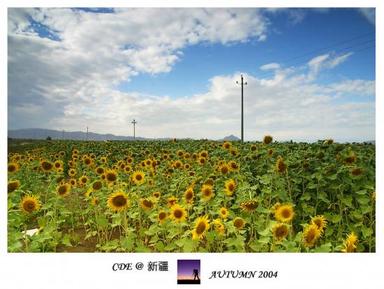 ͼ鿴ԭʼС

:  IMG_79841.jpg
鿴: 637
С:  175.4 KB