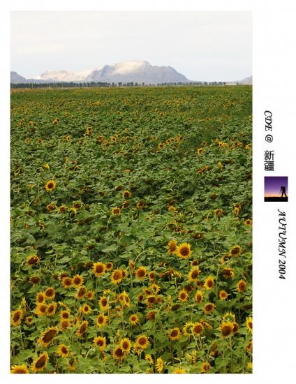 ͼ鿴ԭʼС

:  IMG_79931.jpg
鿴: 637
С:  175.6 KB