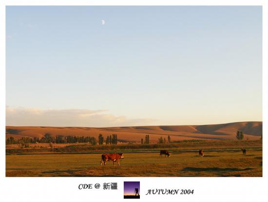 ͼ鿴ԭʼС

:  IMG_80541.jpg
鿴: 669
С:  98.9 KB