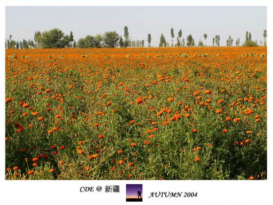 ͼ鿴ԭʼС

:  IMG_81251.jpg
鿴: 704
С:  170.0 KB
