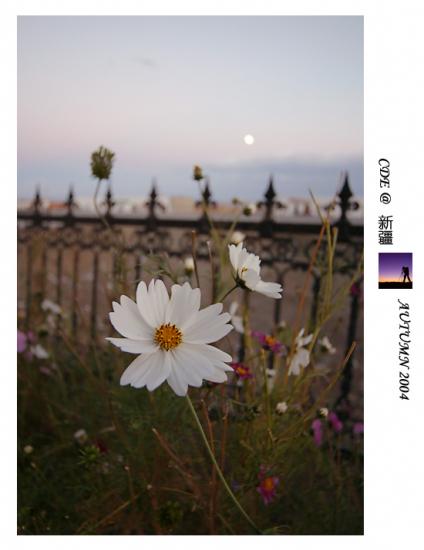 ͼ鿴ԭʼС

:  IMG_83311.jpg
鿴: 477
С:  106.5 KB