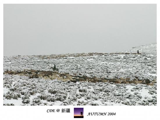 ͼ鿴ԭʼС

:  IMG_84741.jpg
鿴: 532
С:  129.5 KB