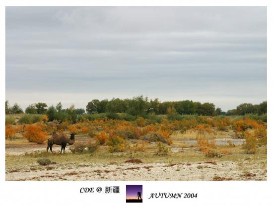ͼ鿴ԭʼС

:  IMG_84871.jpg
鿴: 524
С:  112.8 KB