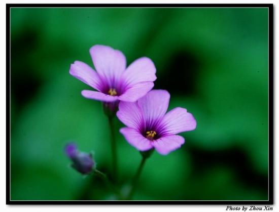ͼ鿴ԭʼС

:  DSCN2507.JPG
鿴: 426
С:  64.3 KB