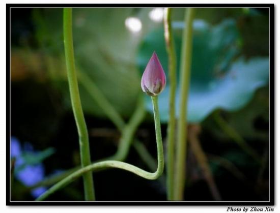 ͼ鿴ԭʼС

:  DSCN2712.JPG
鿴: 433
С:  64.4 KB