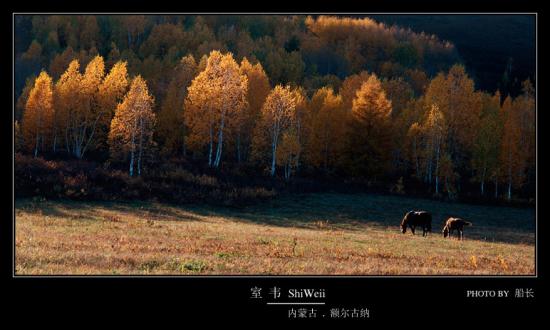 ���ͼ��鿴ԭʼ��С

����:  23.jpg
�鿴����: 290
��С:  166.0 KB