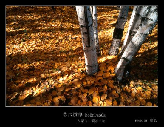 ���ͼ��鿴ԭʼ��С

����:  013.jpg
�鿴����: 377
��С:  188.8 KB