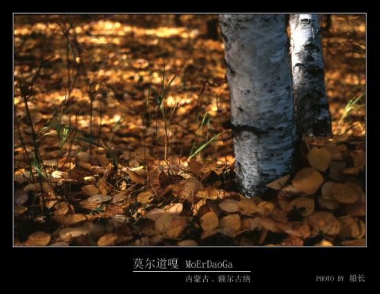 ���ͼ��鿴ԭʼ��С

����:  011.jpg
�鿴����: 374
��С:  141.4 KB