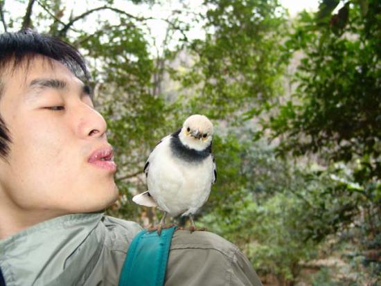 ͼ鿴ԭʼС

:  DSC07461.JPG
鿴: 246
С:  70.6 KB
