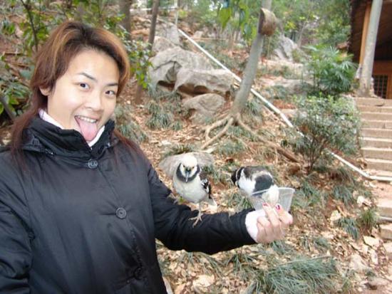ͼ鿴ԭʼС

:  DSC07465.JPG
鿴: 256
С:  80.7 KB