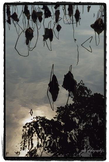 ͼ鿴ԭʼС

:  Image161.jpg
鿴: 234
С:  90.9 KB