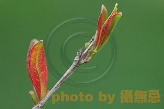 ���ͼ��鿴ԭʼ��С

����:  DSC_0825.jpg
�鿴����: 217
��С:  51.1 KB