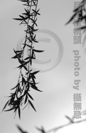 ���ͼ��鿴ԭʼ��С

����:  DSC_0815.jpg
�鿴����: 215
��С:  132.2 KB