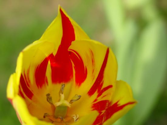ͼ鿴ԭʼС

:  tulip19.JPG
鿴: 257
С:  143.9 KB