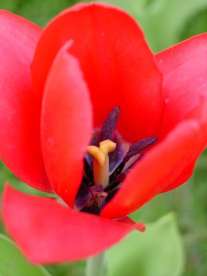 ͼ鿴ԭʼС

:  tulip4.JPG
鿴: 244
С:  44.0 KB