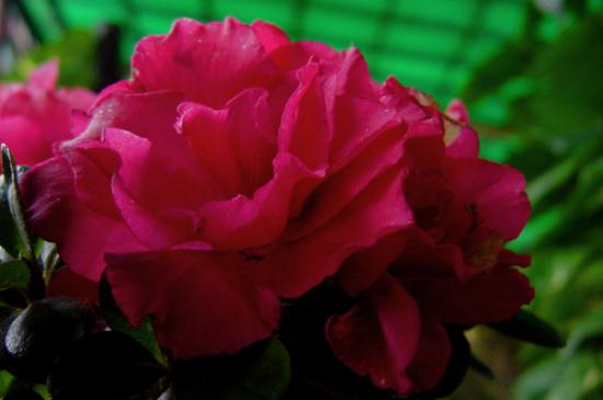 ͼ鿴ԭʼС

:  DSC05361.JPG
鿴: 246
С:  198.3 KB
