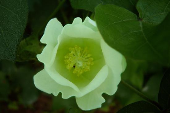 ͼ鿴ԭʼС

:  DSC06751.JPG
鿴: 200
С:  197.0 KB