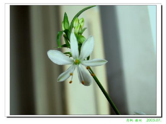 ͼ鿴ԭʼС

:  IMG_1393-a1_2_1.jpg
鿴: 227
С:  61.9 KB