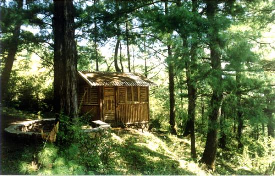 ���ͼ��鿴ԭʼ��С

����:  c-forest.jpg
�鿴����: 248
��С:  138.4 KB