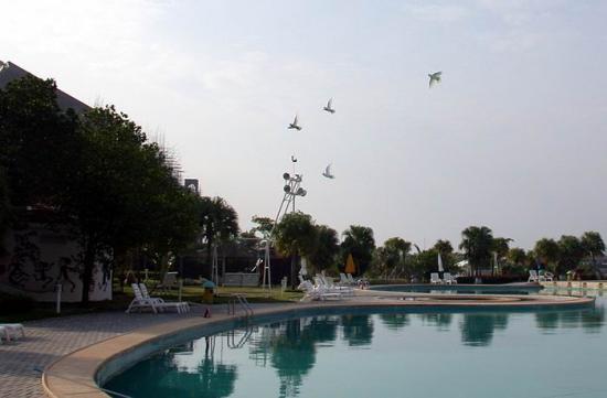 ���ͼ��鿴ԭʼ��С

����:  dscn3034.jpg
�鿴����: 489
��С:  40.8 KB