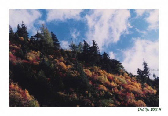 ���ͼ��鿴ԭʼ��С

����:  tree2.jpg
�鿴����: 814
��С:  80.0 KB