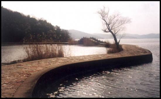 ͼ鿴ԭʼС

:  t01226.jpg
鿴: 255
С:  41.8 KB