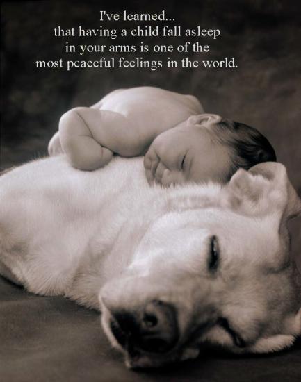 ͼ鿴ԭʼС

:  bb&.jpg
鿴: 250
С:  95.5 KB