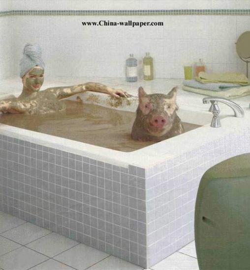 ͼ鿴ԭʼС

:  b7.jpg
鿴: 300
С:  71.7 KB