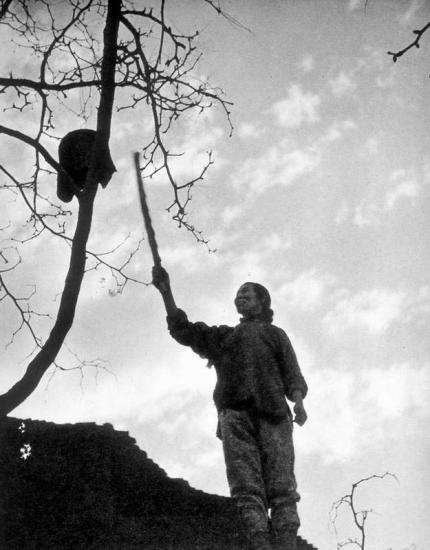 ͼ鿴ԭʼС

:  014.jpg
鿴: 301
С:  60.8 KB