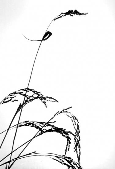 ͼ鿴ԭʼС

:  030.jpg
鿴: 276
С:  43.1 KB