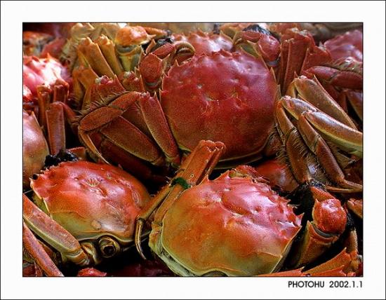 ͼ鿴ԭʼС

:  dsc00000-3 n.jpg
鿴: 290
С:  94.3 KB