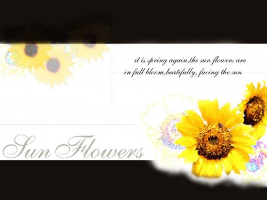 ͼ鿴ԭʼС

:  sunflowers.jpg.jpg
鿴: 239
С:  69.0 KB