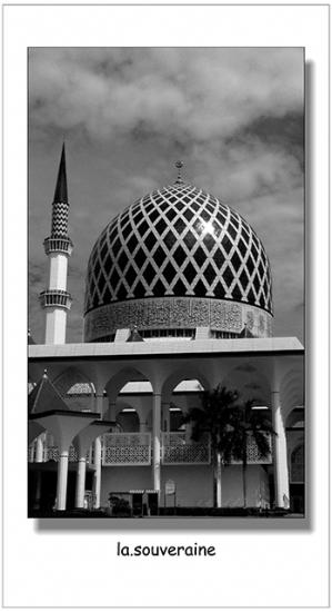 ͼ鿴ԭʼС

:  mosque1.jpg
鿴: 279
С:  102.9 KB