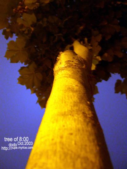 ͼ鿴ԭʼС

:  02treeofnight.jpg
鿴: 380
С:  109.9 KB