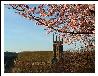 Durham--�峿��С����