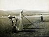 BK-Women67.jpg