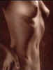 04b.jpg (9985 ֽ)